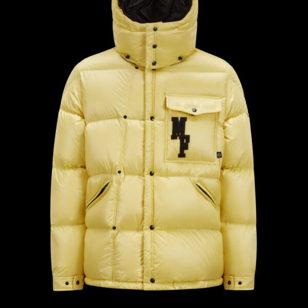 Moncler Anthemiock Down Jacket