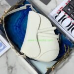 Dior Bag – WLVB1014